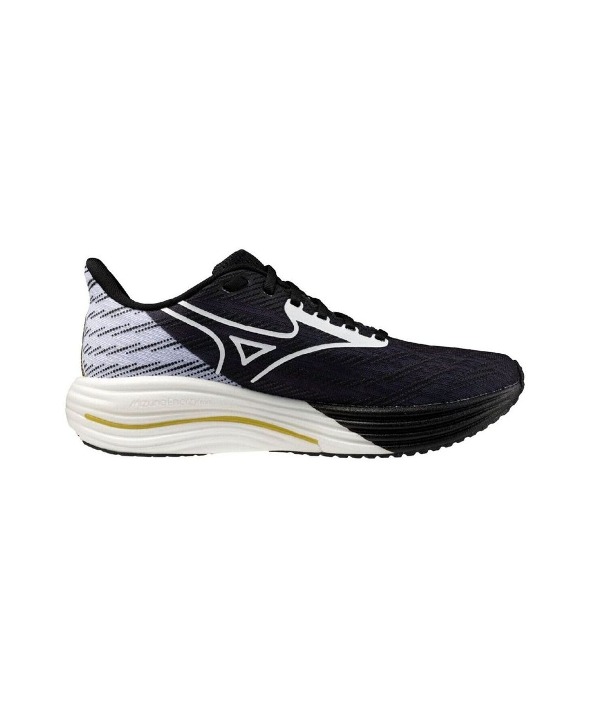 미즈노(MIZUNO) WAVE RIDER 29_J1GC2663