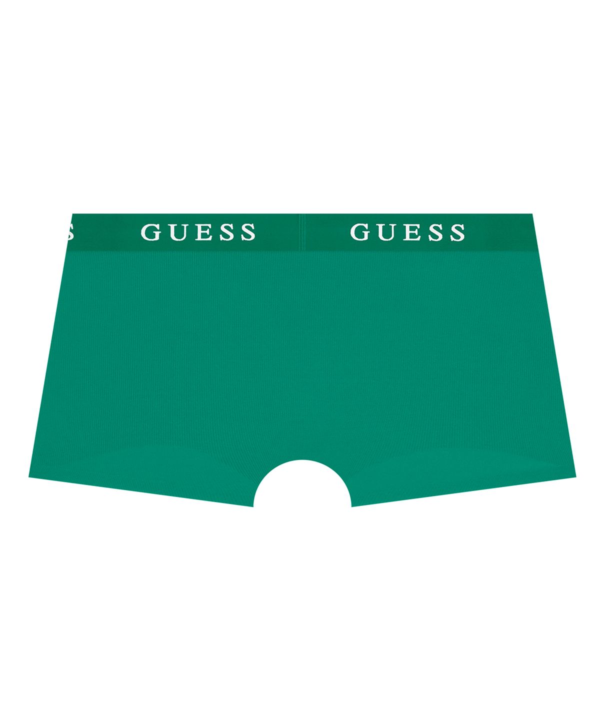 게스언더웨어(GUESS UNDERWEAR) 소프트 메쉬 퓨징 드로즈 - 그린