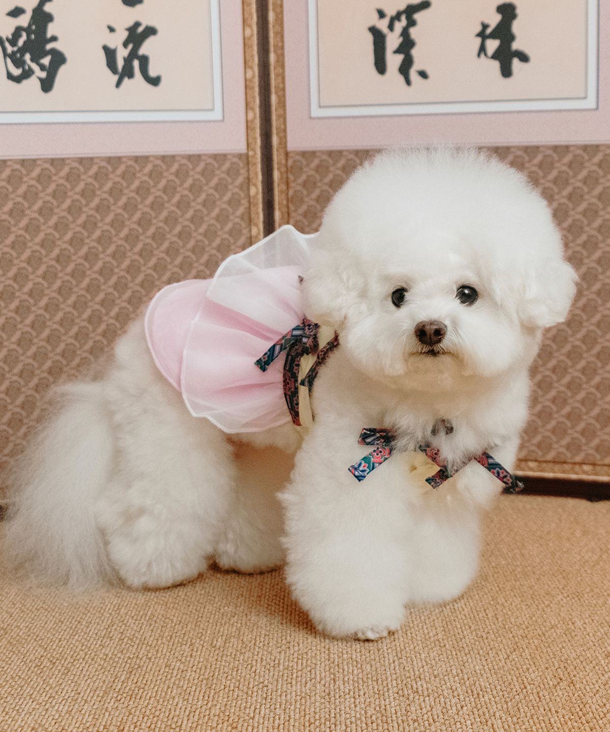 위드토리(WITH TORY) 화온 강아지 생활한복 (옐로우)