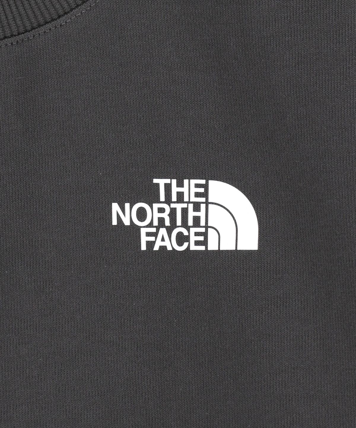 노스페이스 키즈(THE NORTH FACE KIDS) 키즈 고 투 스웻셔츠 NM5MS02T_CHG