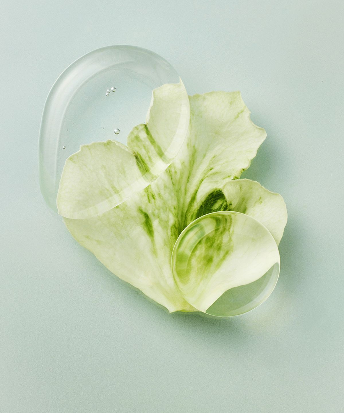 리베르(LIBER) [장미 생화향] 오 드 퍼퓸 로즈 제스트 30ML Rose Zest