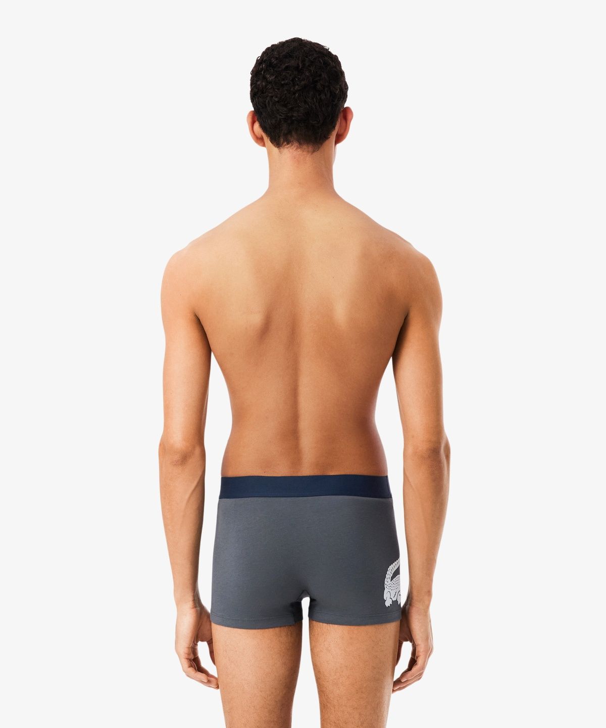 라코스테(LACOSTE) 남성 빅크록 남성 브리프 3PACK 5H1291-56G 0IV