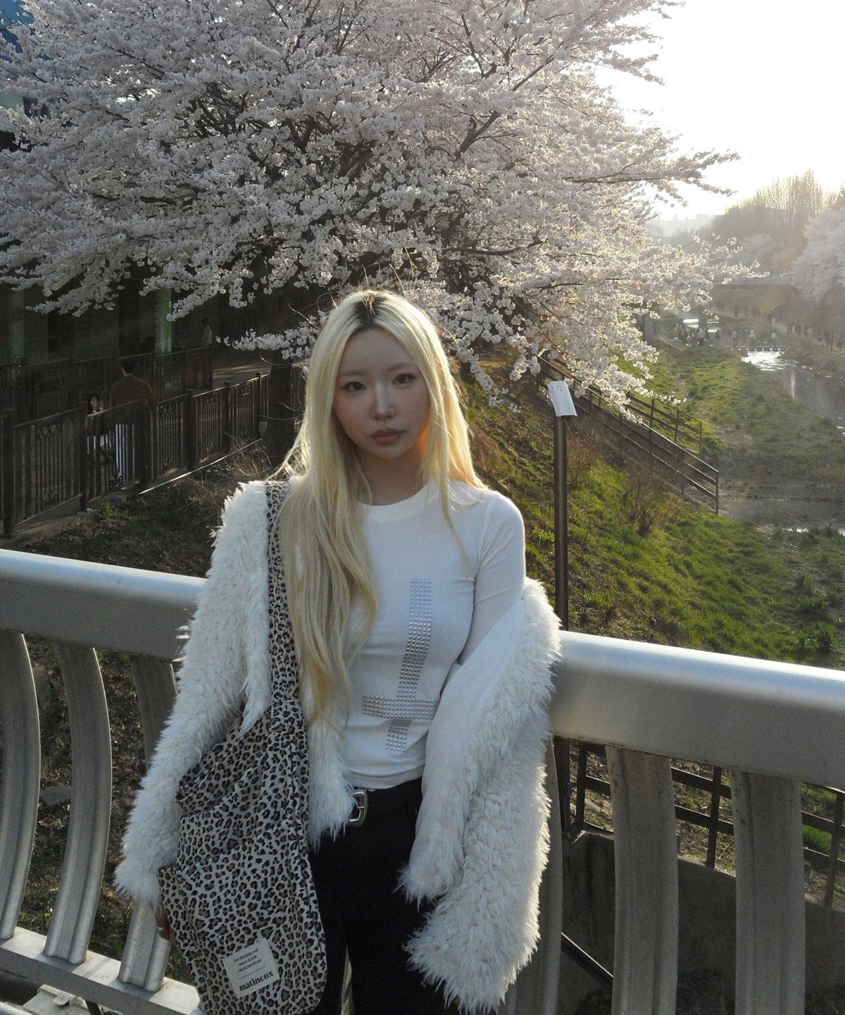마틴콕스(MATINCOX) MoodCurve - Leopard Beige