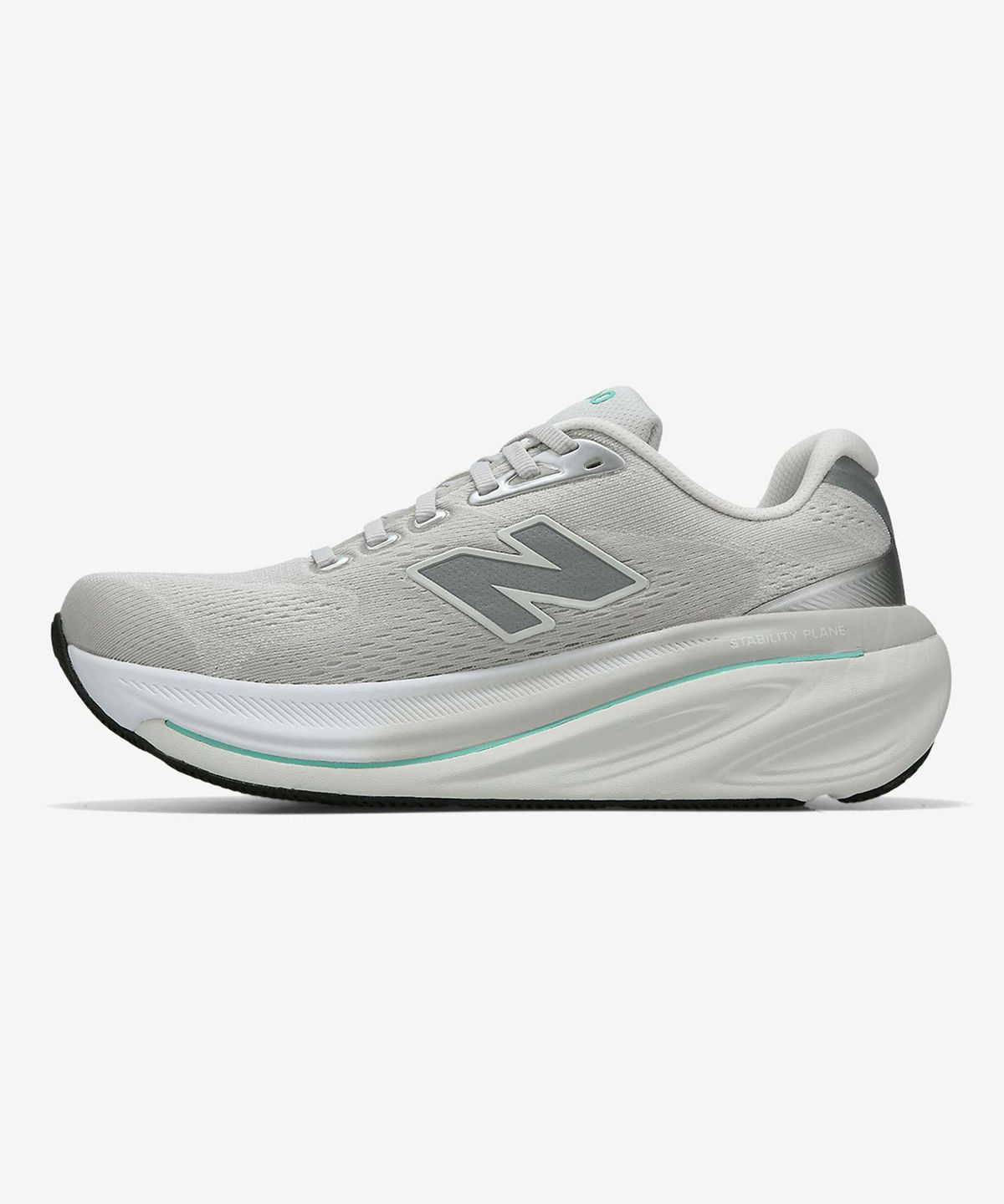 뉴발란스(NEW BALANCE) NBPFGS111L / 860 V15 (여성, D) (안정화) (L/GRAY)