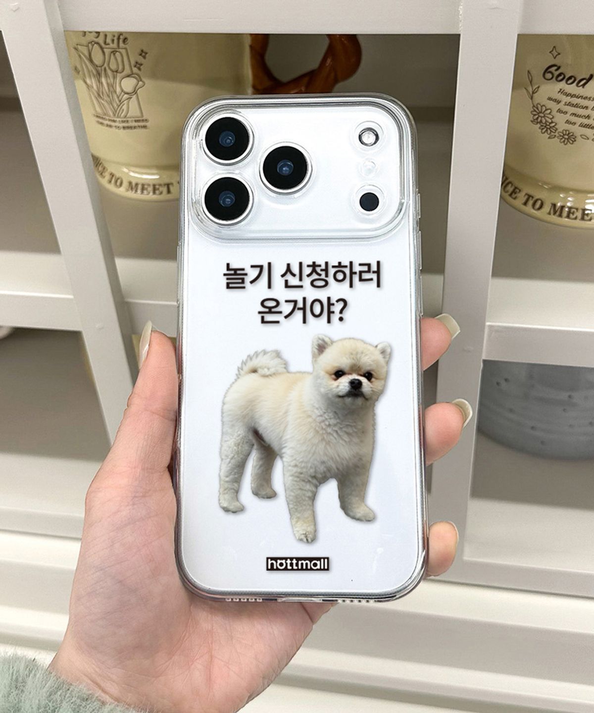 핫티몰(HOTTMALL) [젤리] 놀기 신청이지