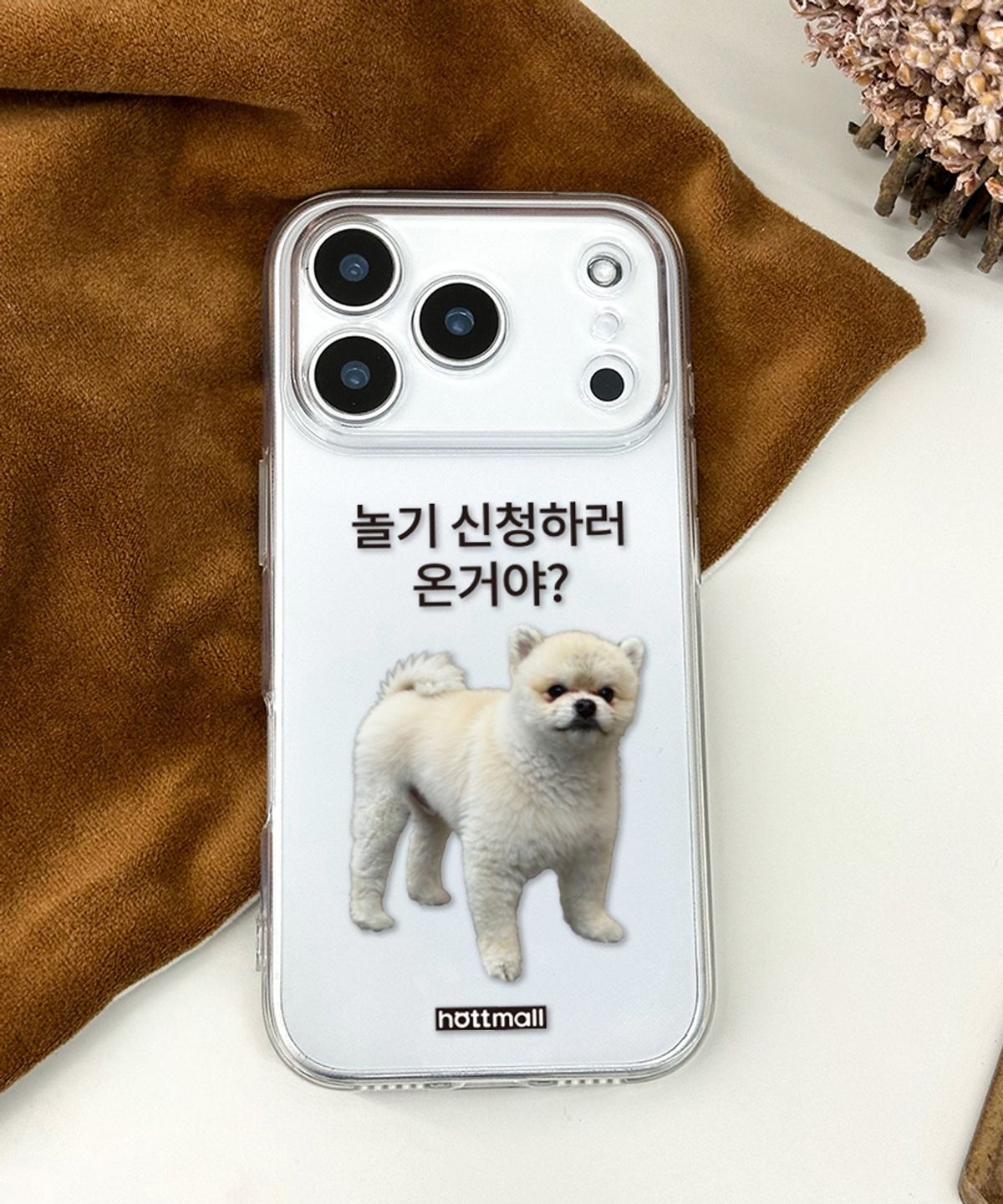 핫티몰(HOTTMALL) [젤리] 놀기 신청이지