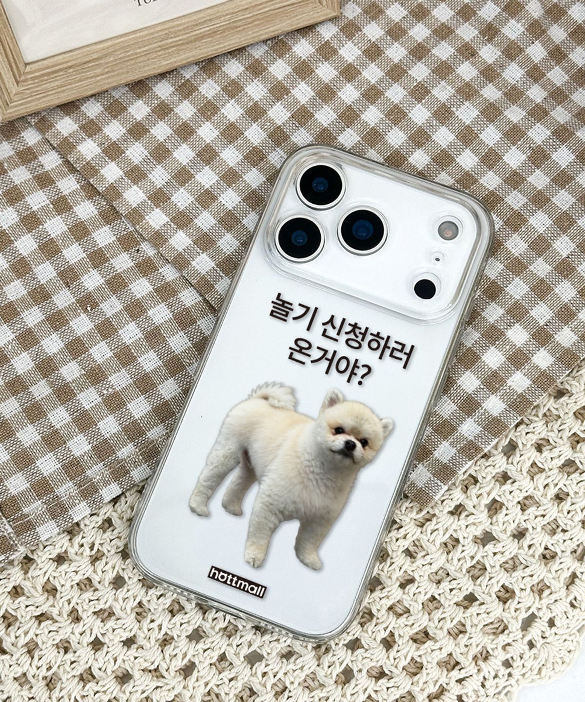 핫티몰(HOTTMALL) [젤리] 놀기 신청이지