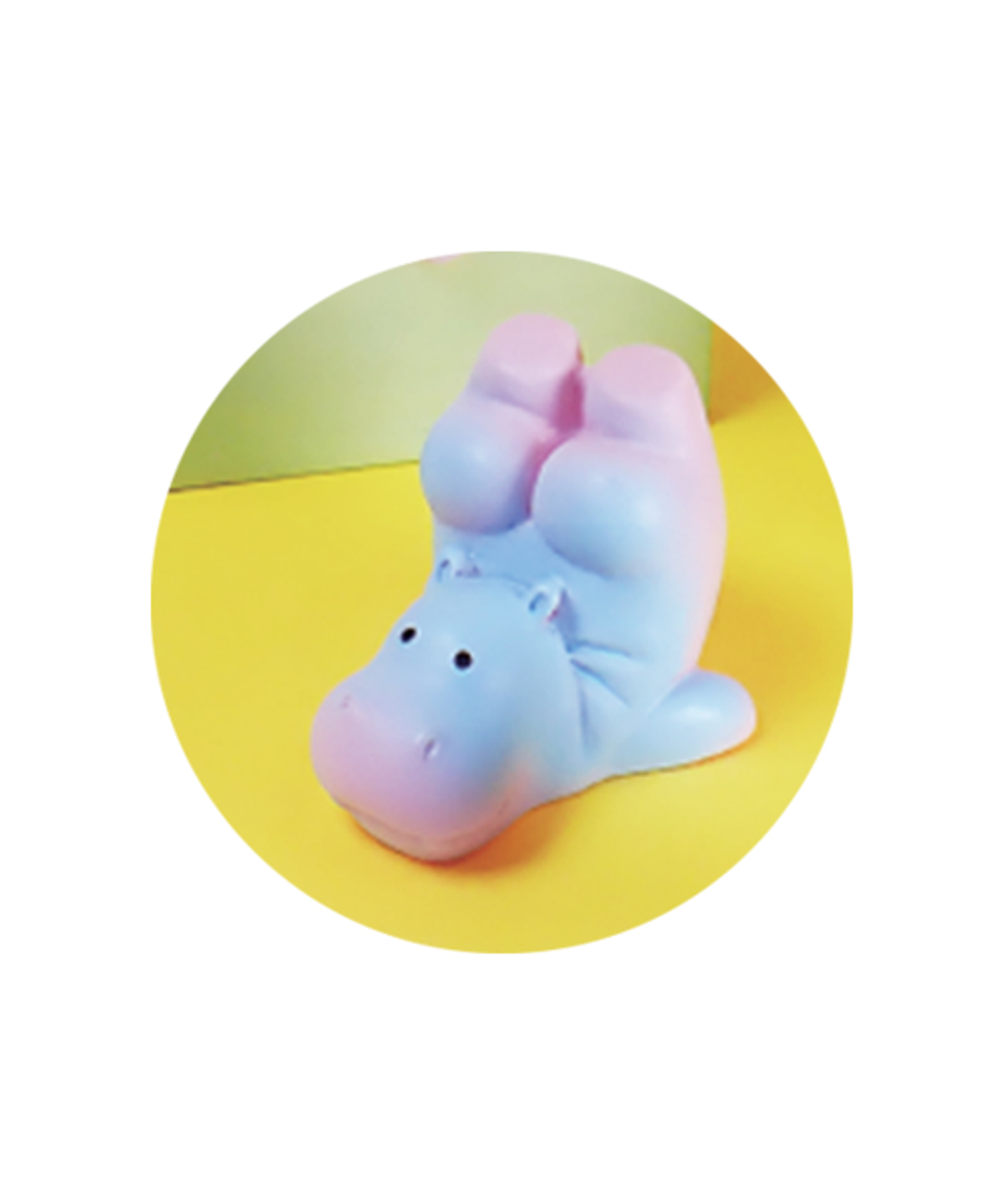 이앤오(ENO) 가챠 캡슐 뽑기 귀여운포즈의 하마 6종 세트
