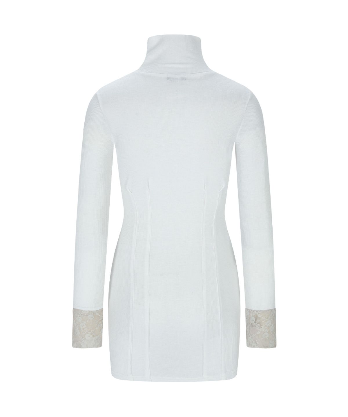 플리즈노팔로우(PLEASENOFOLLOW) Karin High-neck Lace Pintuck Dresses (White)