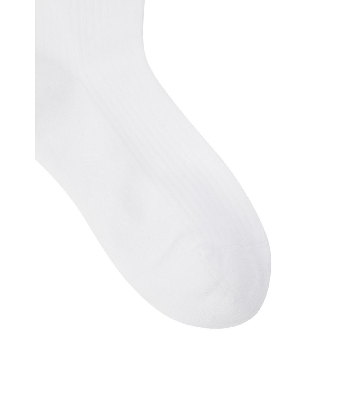 왁(WAAC) Women See-through Socks WGLCX26214WHX