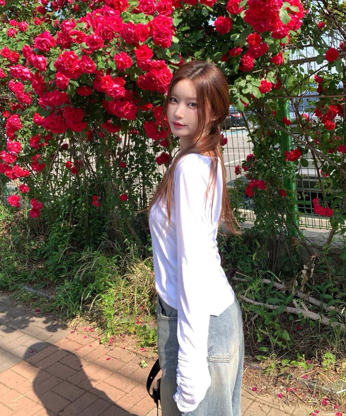 프로젝트 웨이브(PROJECT WAVE) See-through Deep V-neck T-shirt