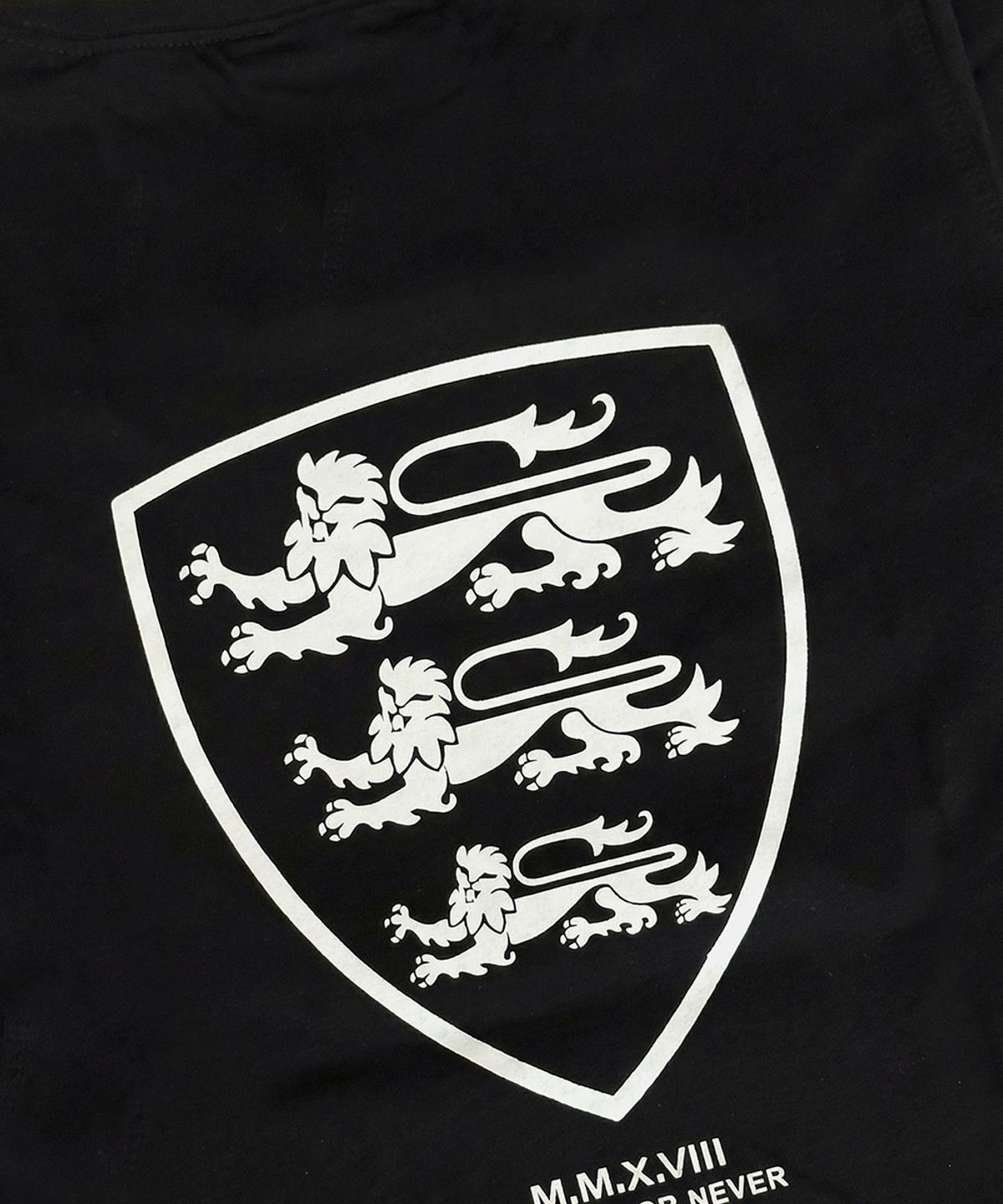 배드블러드(BADBLOOD) Shield-M Slim Fit Short Sleeve T-Shirt - Black