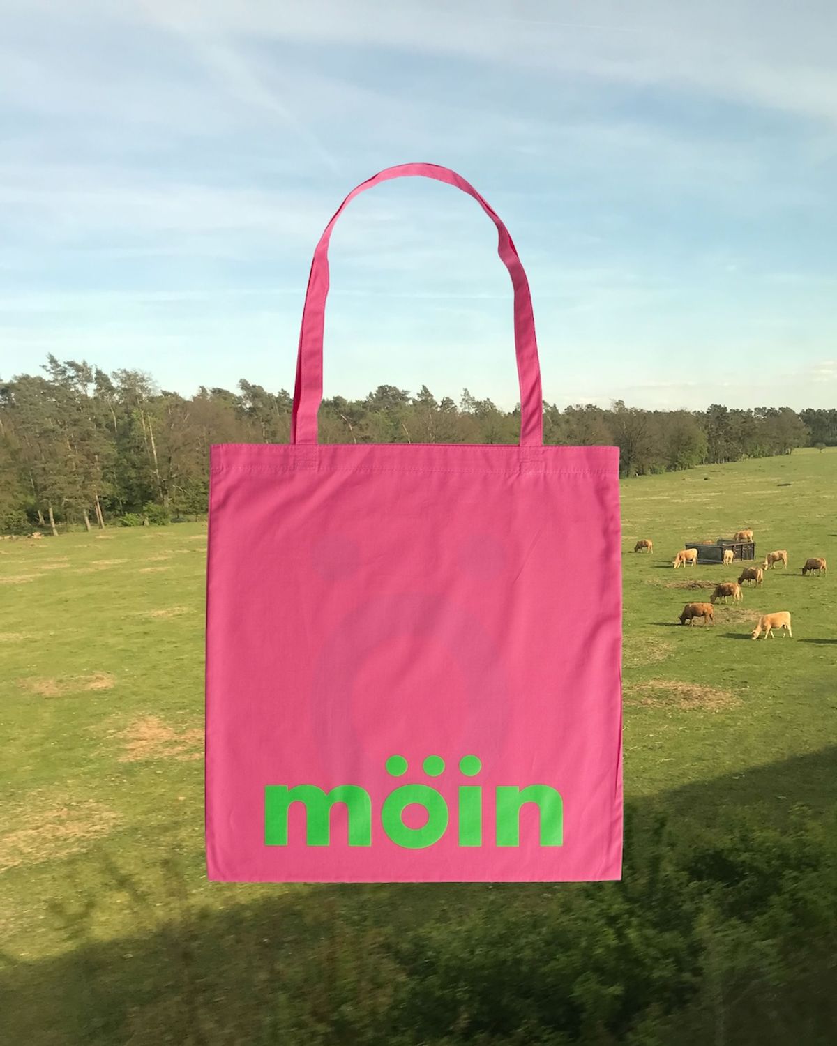 모잉모잉(MOIN MOIN) Printed bag, Pink