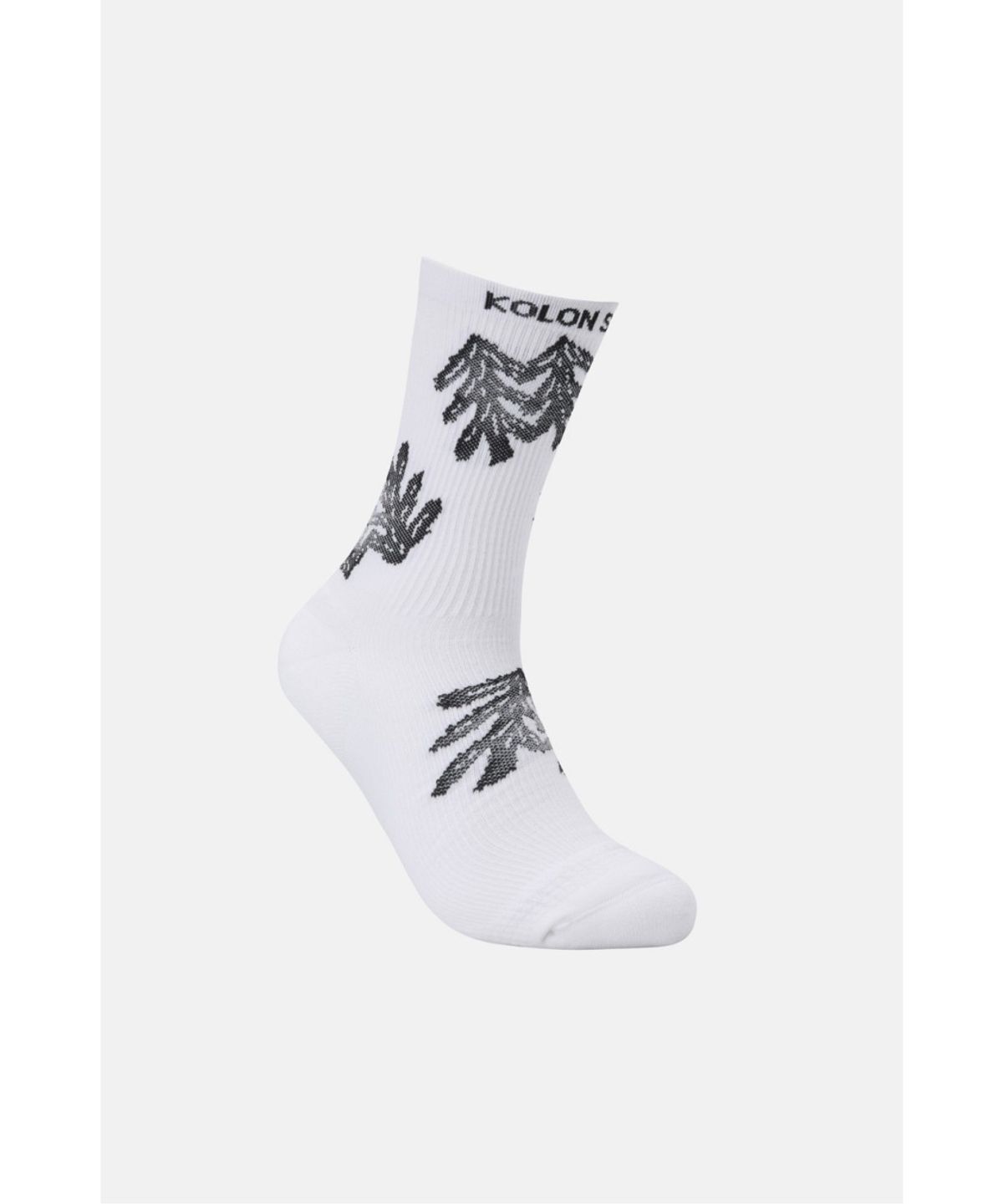 코오롱스포츠(KOLON SPORT) 상록수 그래픽 크루 삭스 QELAX26461CHA
