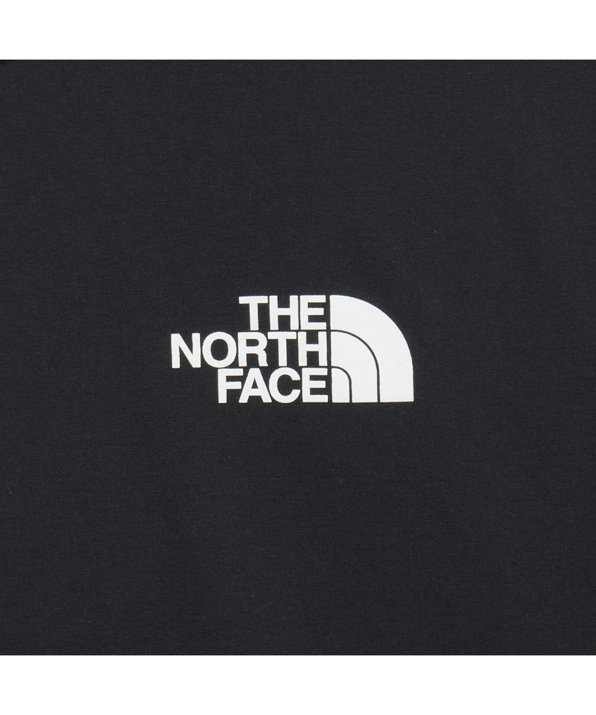 노스페이스(THE NORTH FACE) NT7US02A 리즈 반팔 티 BLACK