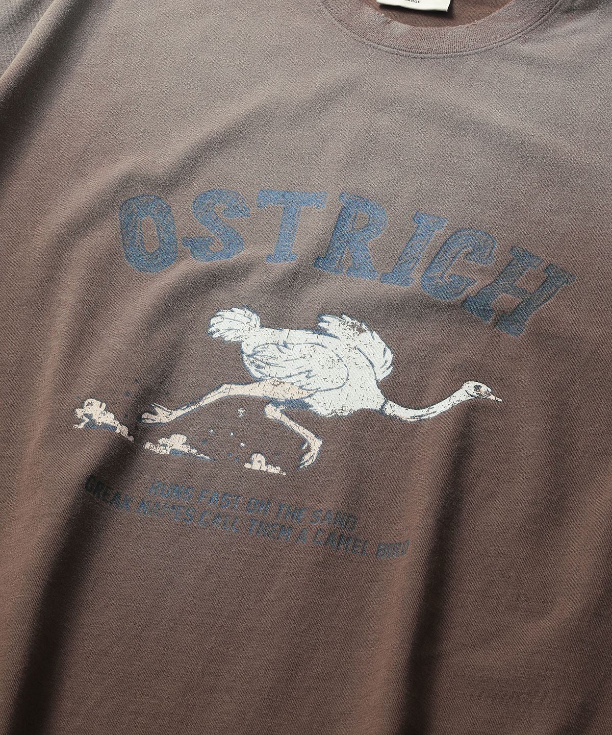 씨에이치사공사(CH.404) OSTRICH TEE BROWN