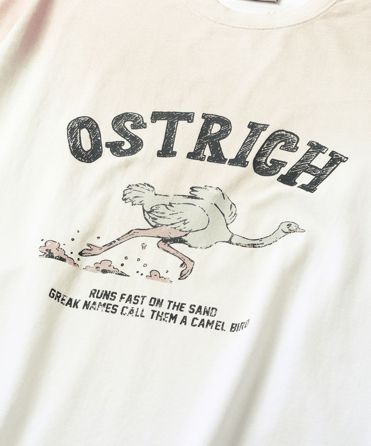 씨에이치사공사(CH.404) OSTRICH TEE WHITE