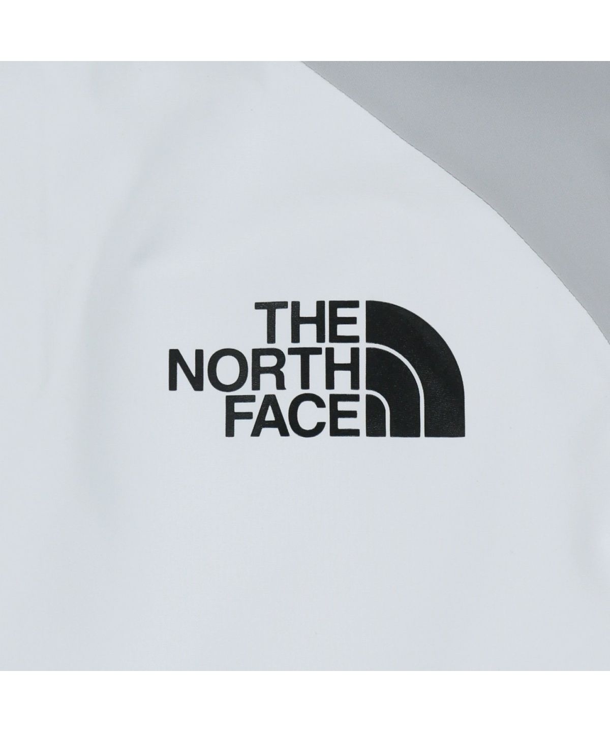 노스페이스(THE NORTH FACE) NJ2HS02M 화이트라벨 포맥스 3L 자켓 ICE GRAY