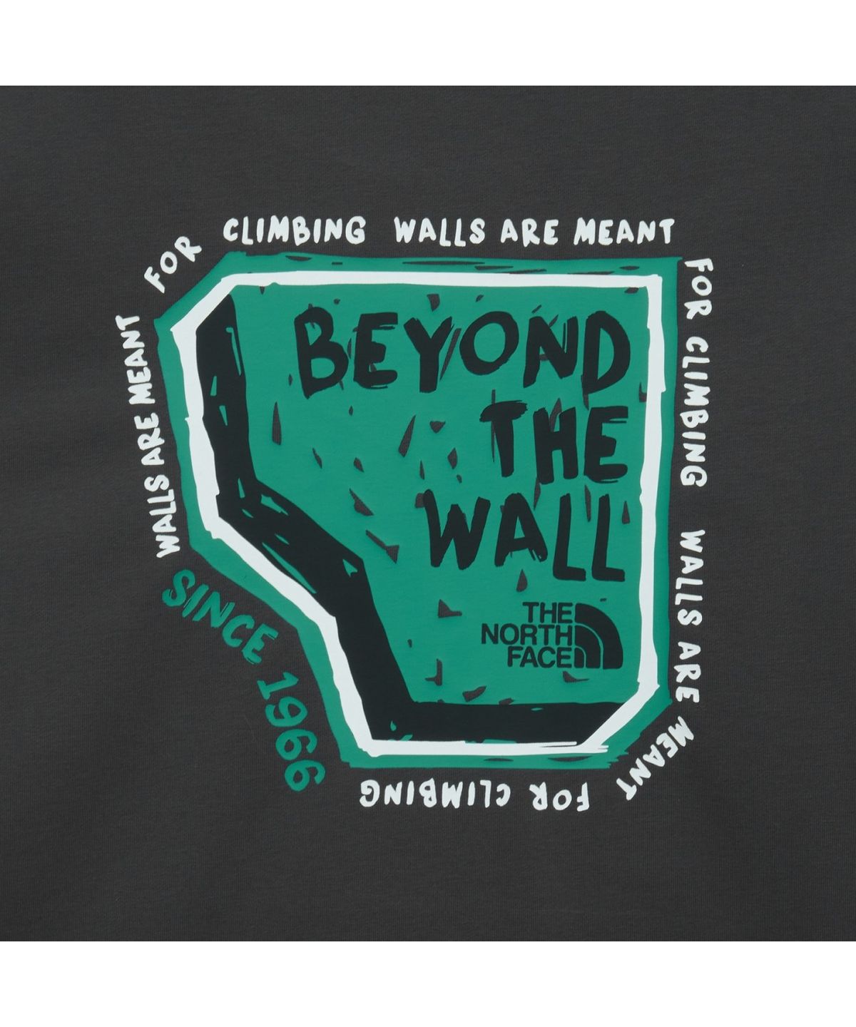 노스페이스(THE NORTH FACE) NT7TS00A 남성 오버월 긴팔 티 CHARCOAL