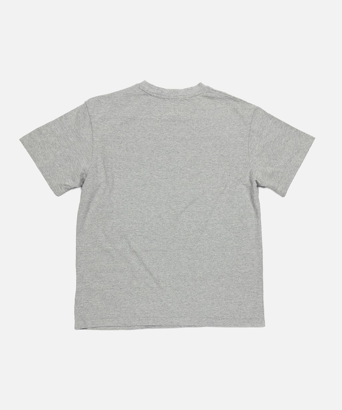 제스픽션(JESSFIXTION) I GOT BITTEN BY A PUPPY TEE (GREY)