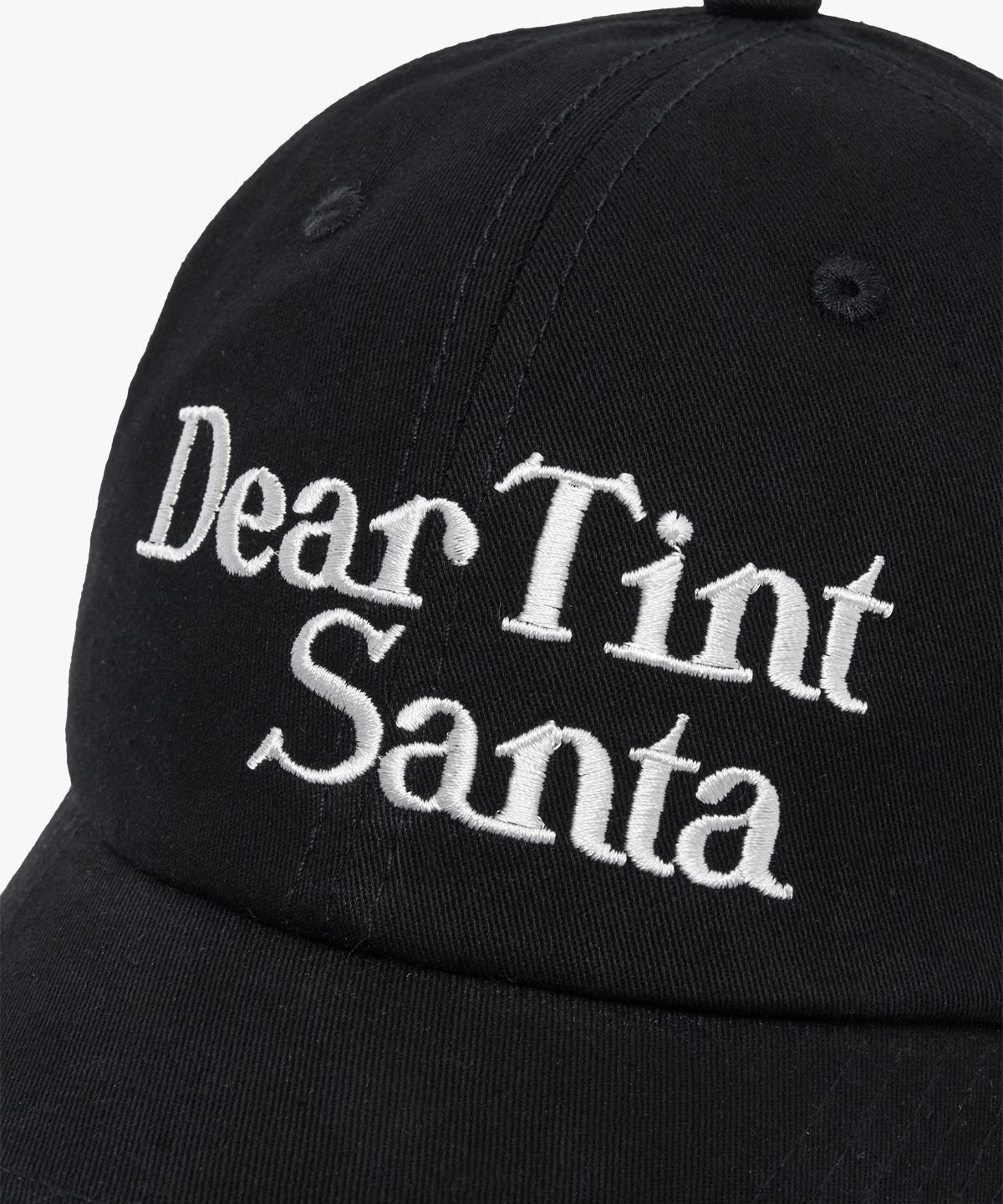디어틴트산타(DEAR TINT SANTA) DTS cap_black