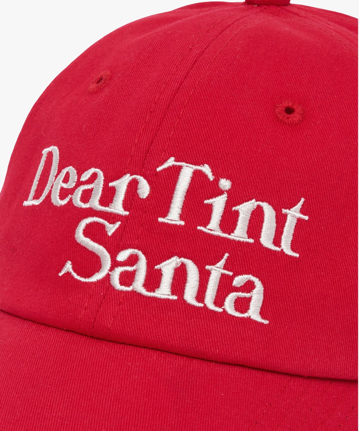 디어틴트산타(DEAR TINT SANTA) DTS cap_red