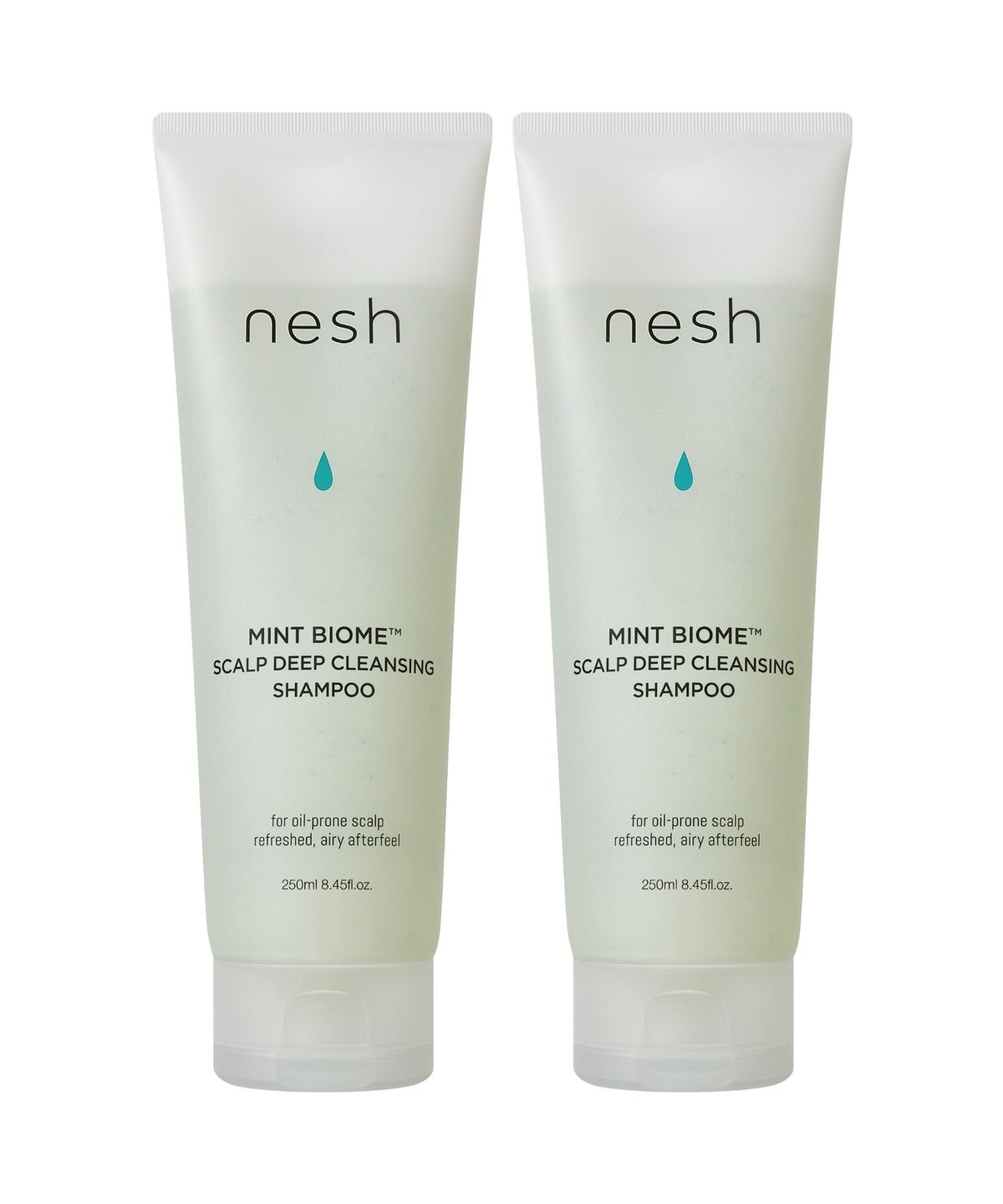 네쉬(NESH) [2종세트] 민트 바이옴 스칼프 딥클렌징 샴푸 250ml x 2개