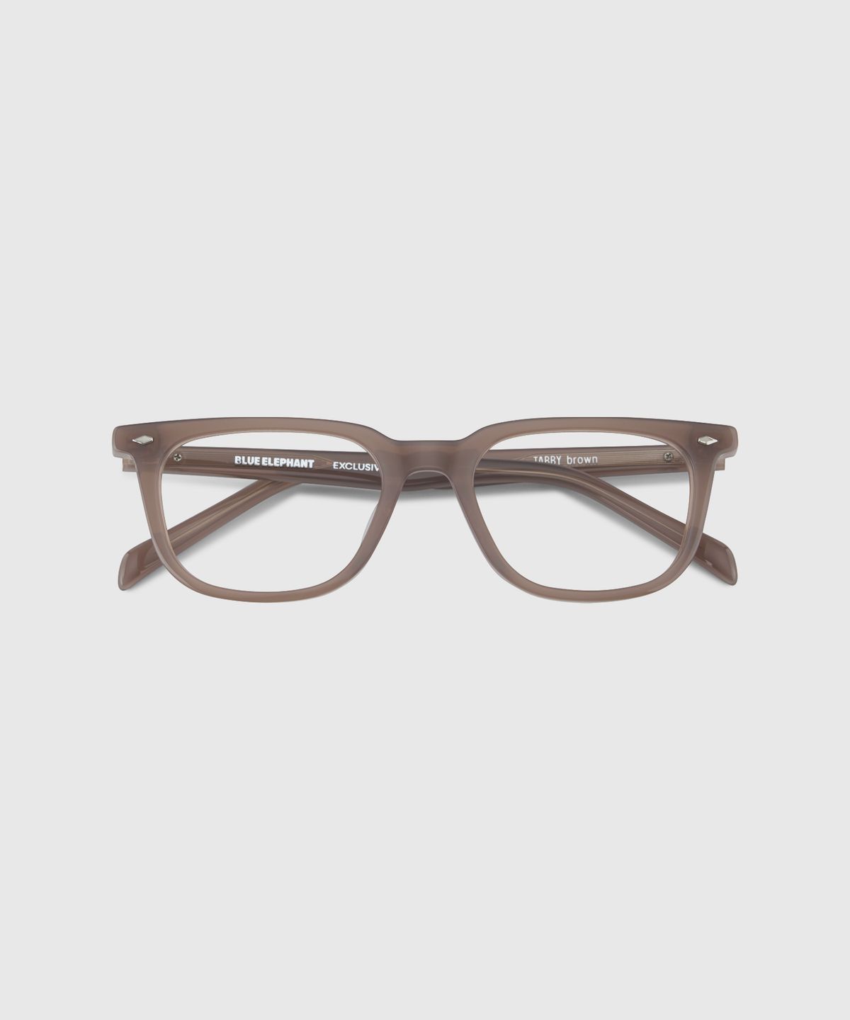 블루엘리펀트(BLUE ELEPHANT) TABBY brown