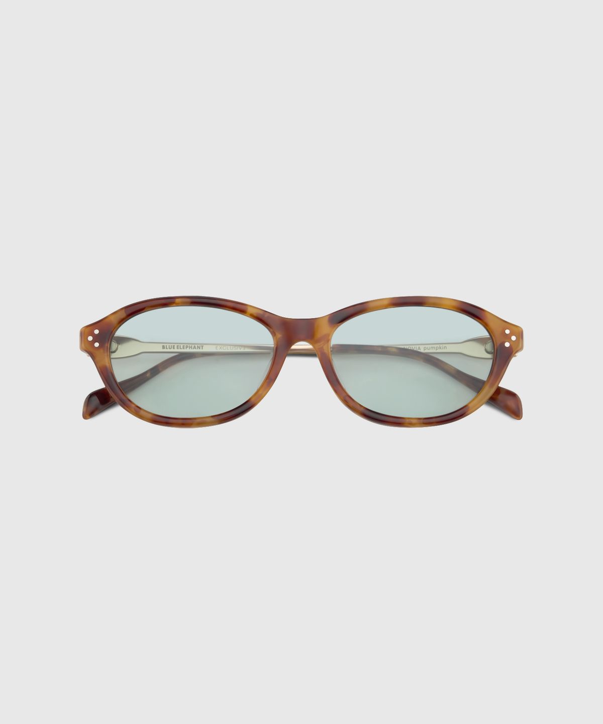 블루엘리펀트(BLUE ELEPHANT) NOVIA pumpkin