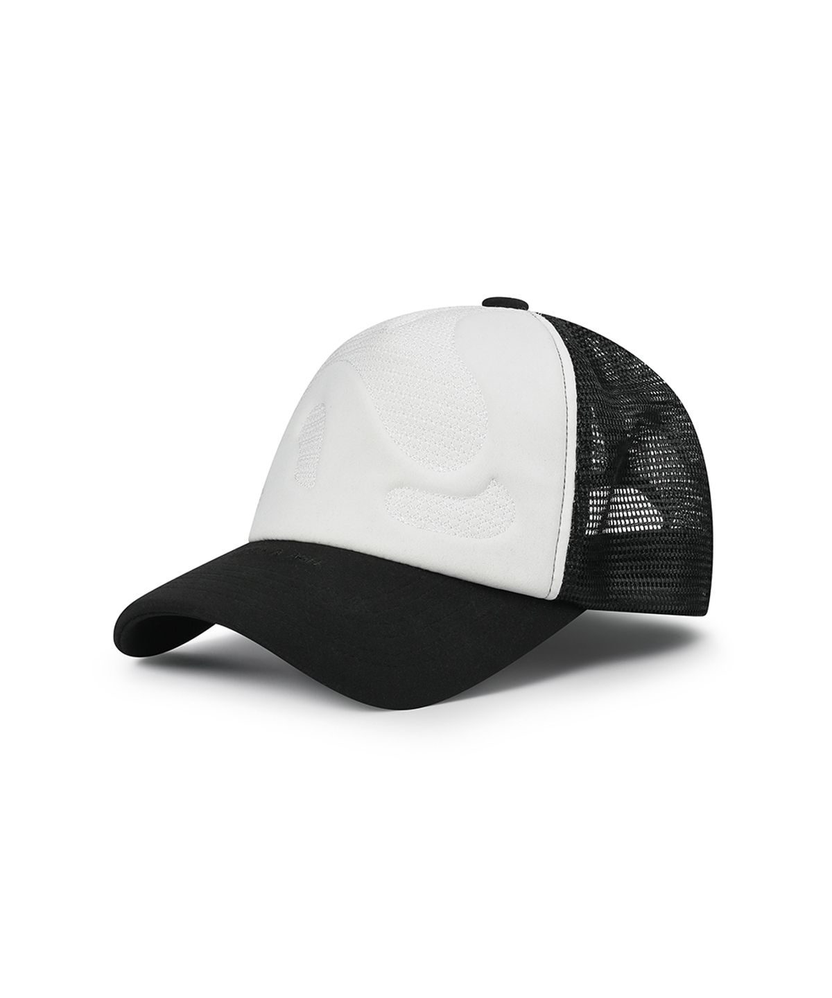 앤어애쉬(ANDAASH) Volume trucker mesh cap BLACK