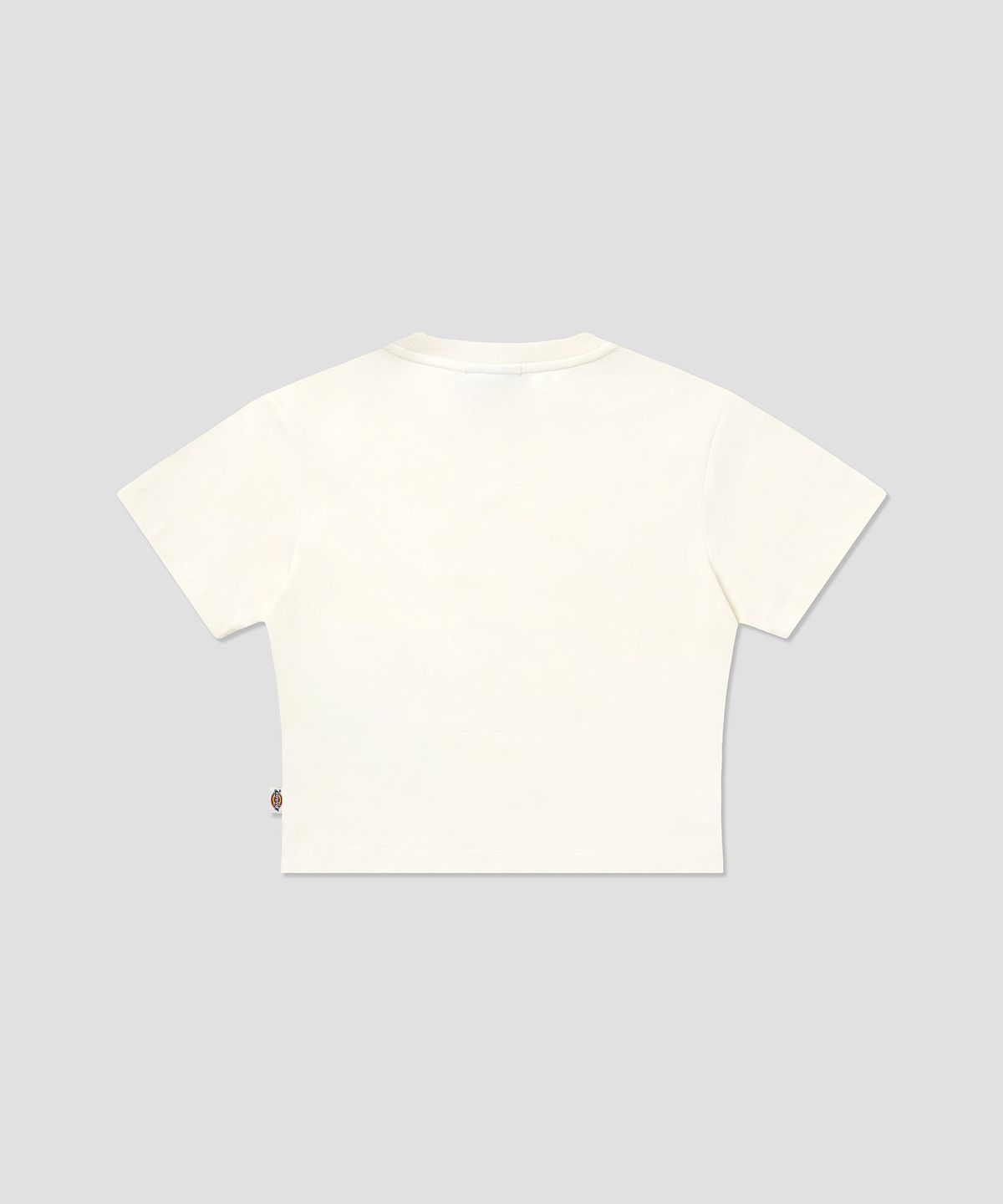 디키즈(DICKIES) 애로우 크롭 티셔츠 Egret