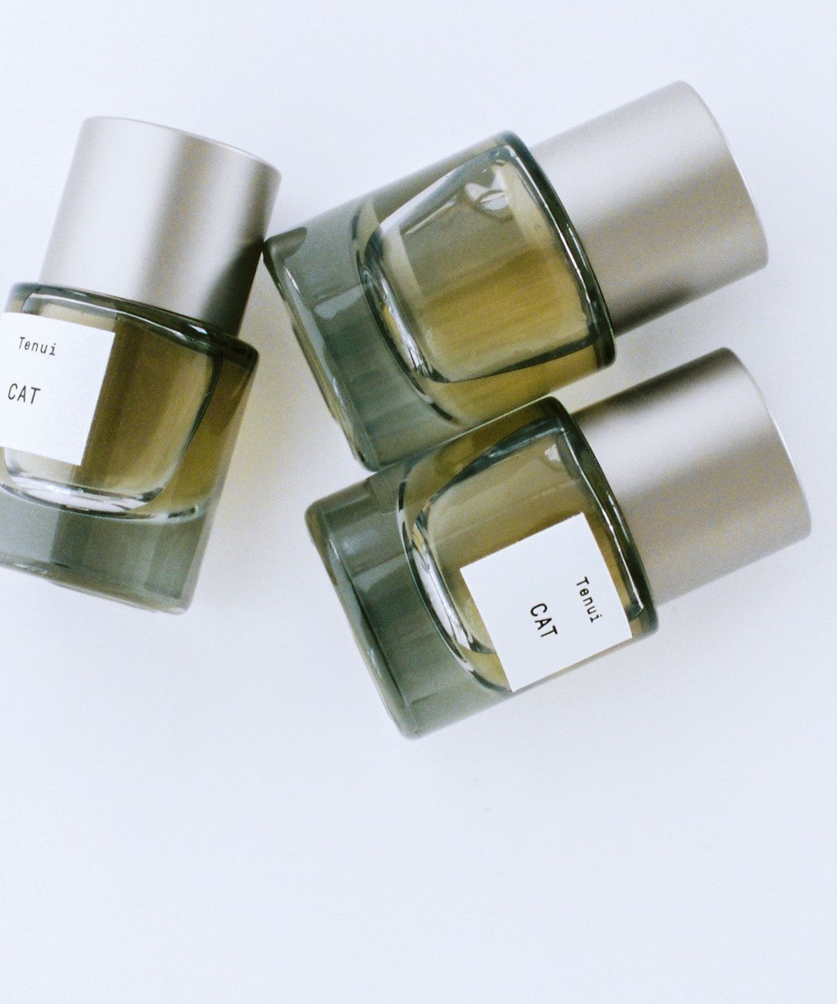 테누이(TENUI) 오 드 퍼퓸 캣 10ml