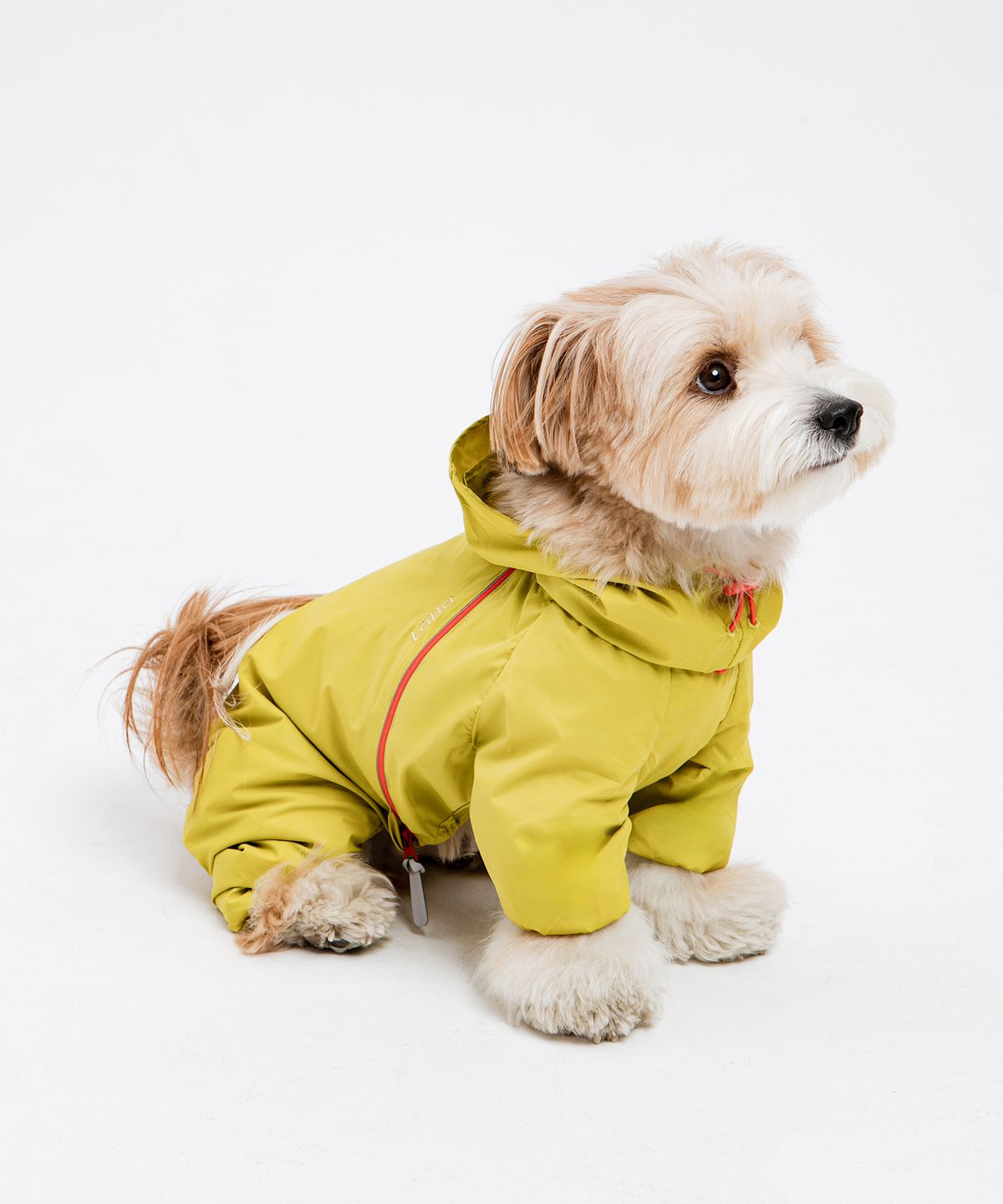 바잇미(BITEME) Latta Filmcover All-in-one windbreaker 반려견+반려인 세트 (3 colors)