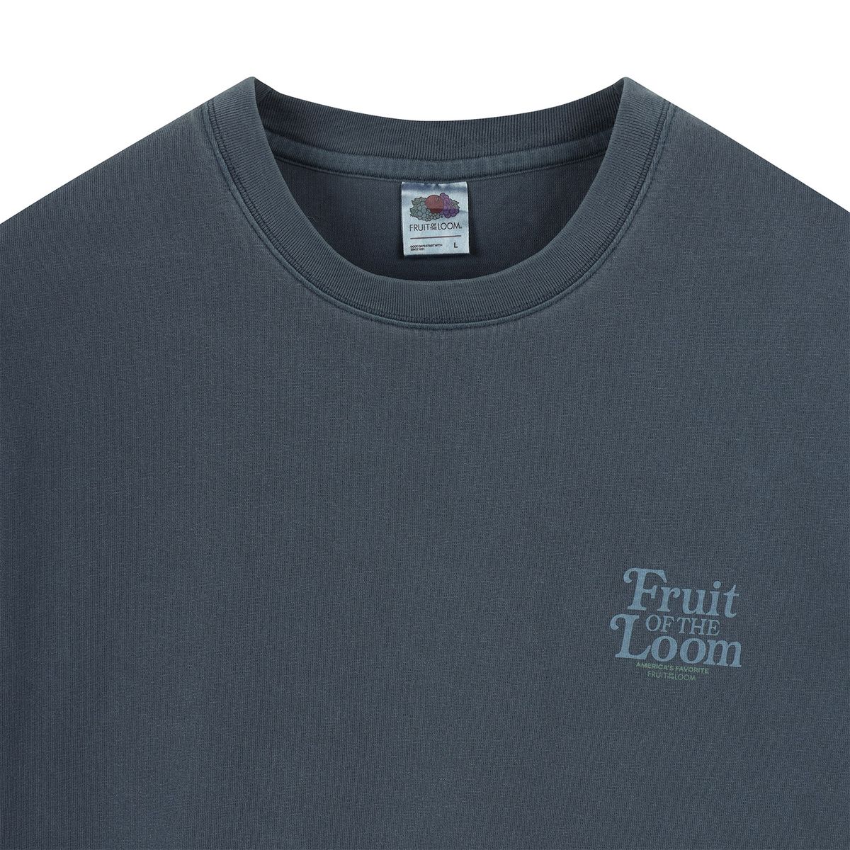 프룻오브더룸(FRUIT OF THE LOOM) 피그먼트 로고 그래픽 반팔티(NAVY)