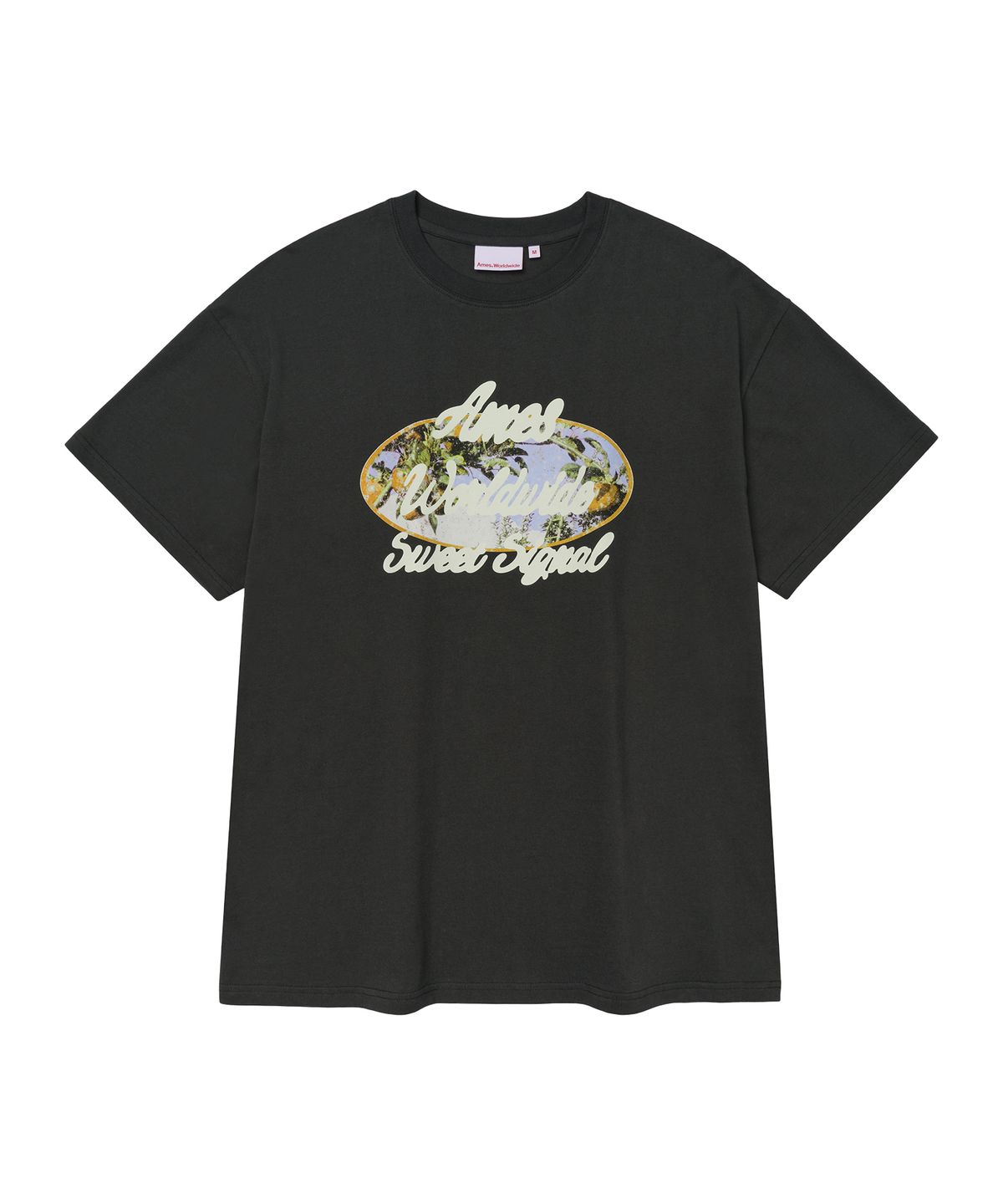 아메스 월드와이드(AMES-WORLDWIDE) PALM TREE OVAL TEE CHARCOAL