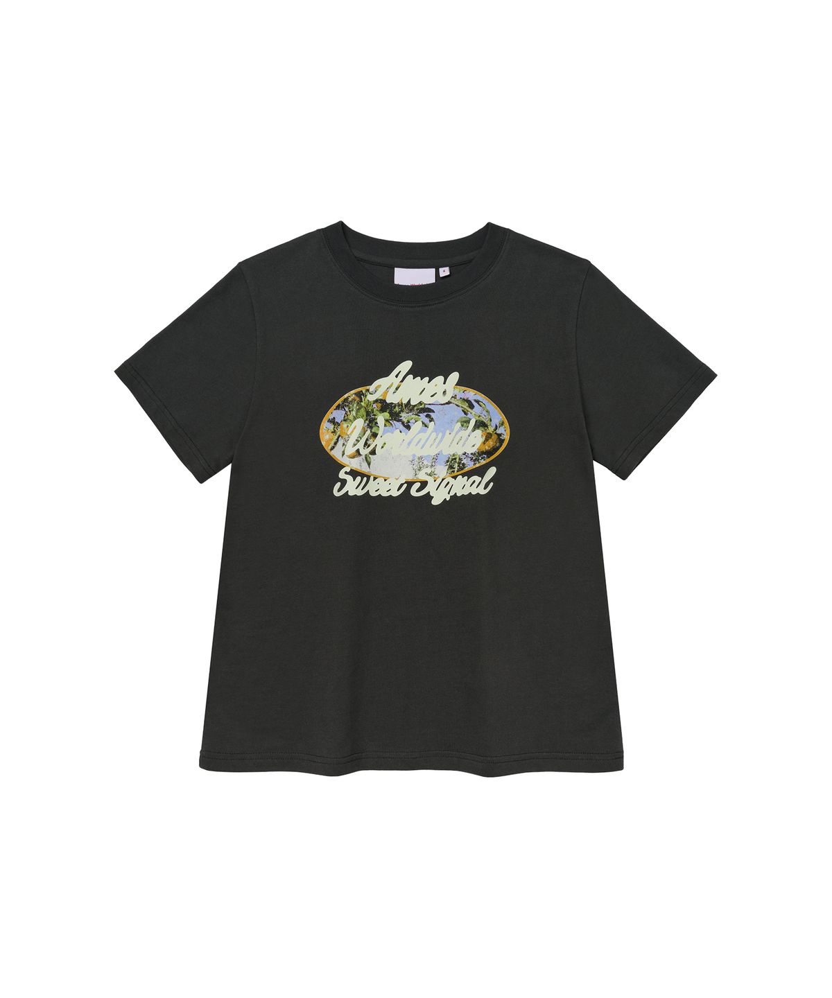 아메스 월드와이드(AMES-WORLDWIDE) PALM TREE OVAL TEE CHARCOAL
