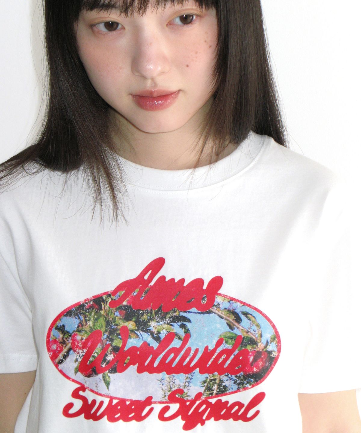 아메스 월드와이드(AMES-WORLDWIDE) PALM TREE OVAL TEE WHITE