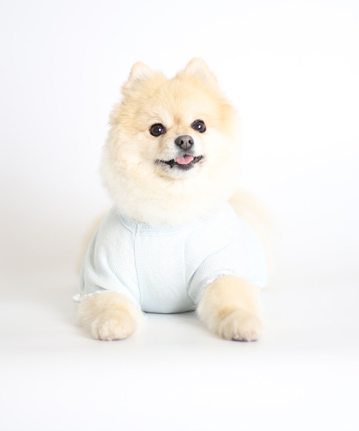 몽루(MONLOUP) 주빌리