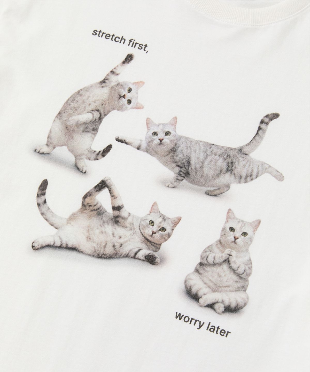 포에브(POEV) Stretching Cat T-Shirt - Off White