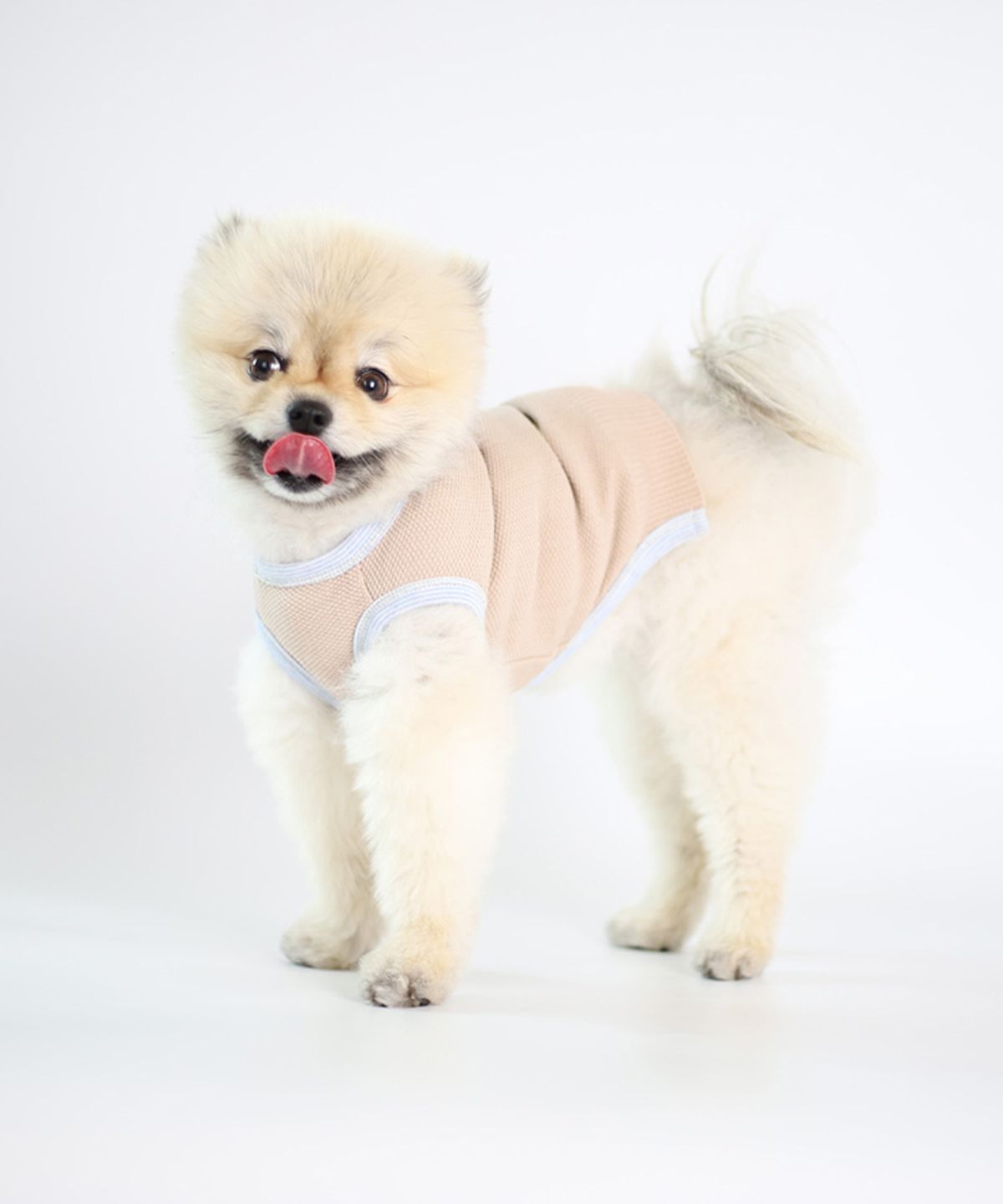 몽루(MONLOUP) 피케 파스텔