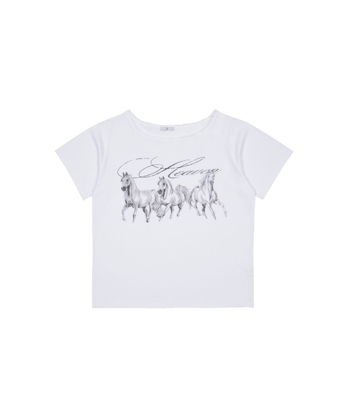 어니브(ANIV) LOW CUT OFF SHOULDER T-SHIRT WHITE