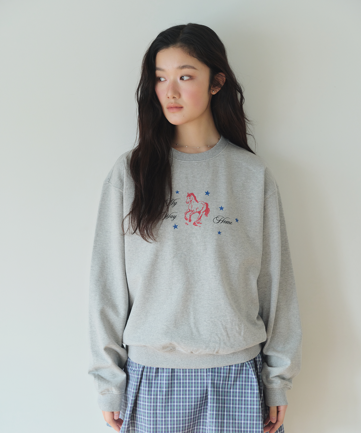 홈바디띵즈(HOMEBODY THINGS) HBT Pony Sweatshirt (GREY)