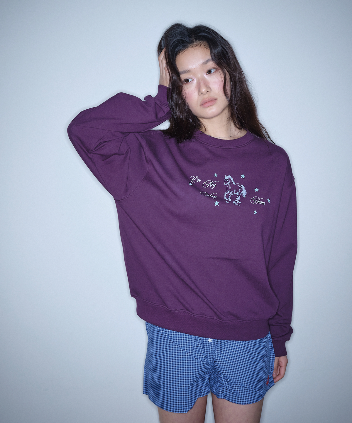 홈바디띵즈(HOMEBODY THINGS) HBT Pony Sweatshirt (PURPLE)