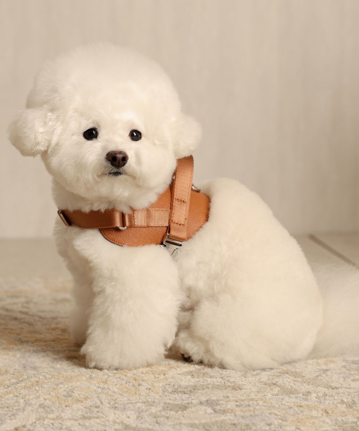 호지(HOZI) 새들 하네스
