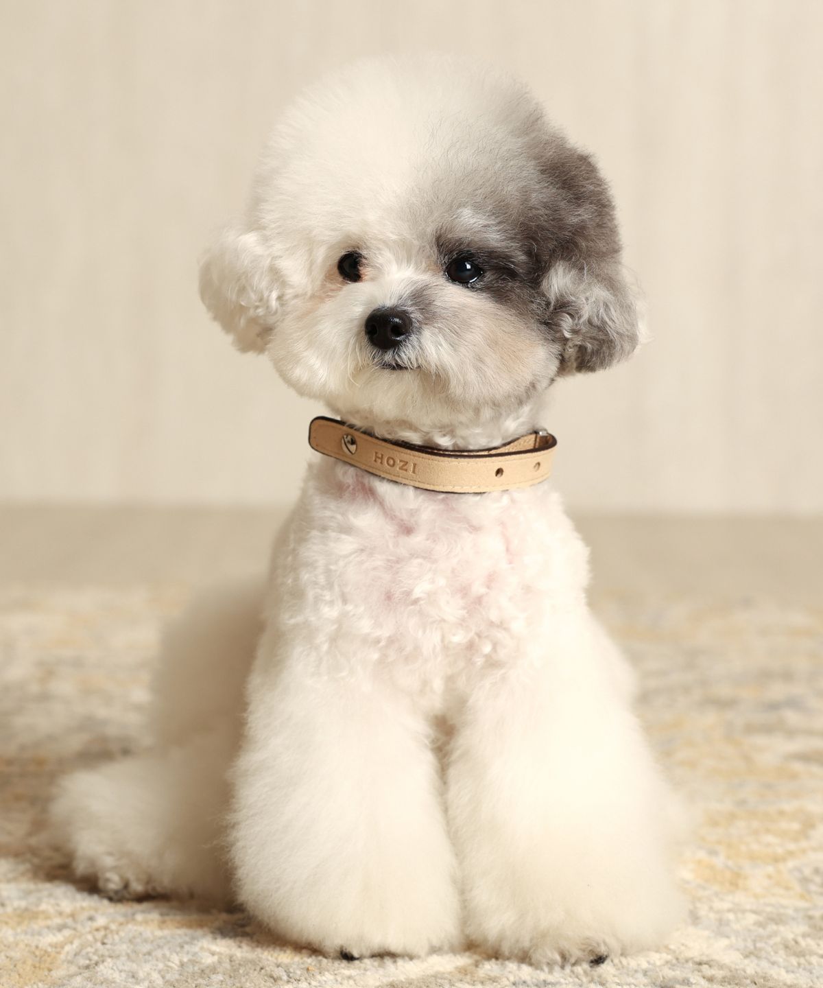 호지(HOZI) 새들 스트랩
