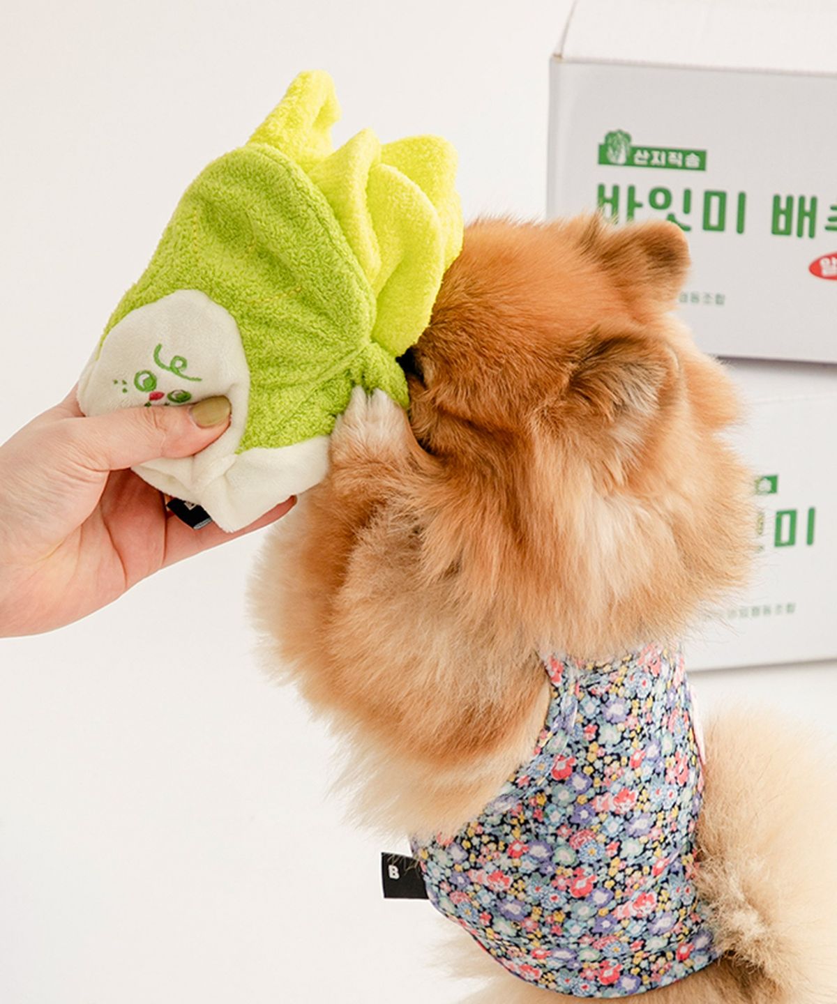 바잇미(BITEME) 싱싱 알배추 노즈워크 장난감 (삑삑/바스락/노즈워크)