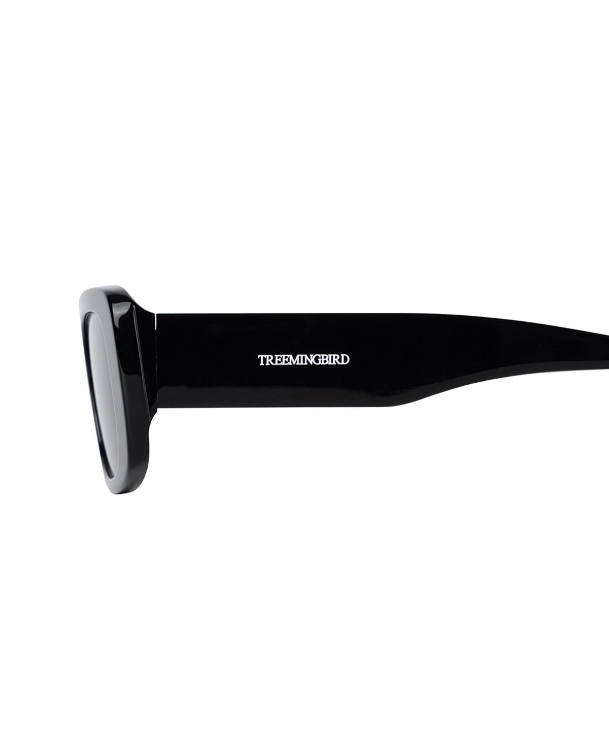 트리밍버드(TREEMINGBIRD) Classic Rectangle Sunglasses [ Black ]