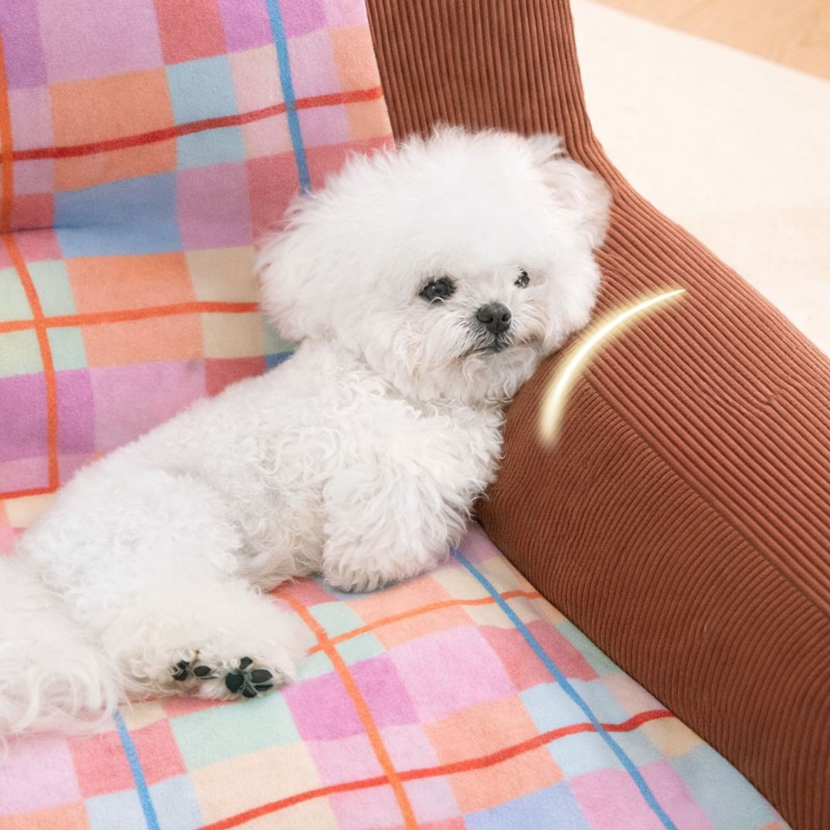개과천선(GAEKWACHEONSUN) 아르벨 강아지 쿠션 고양이 방석
