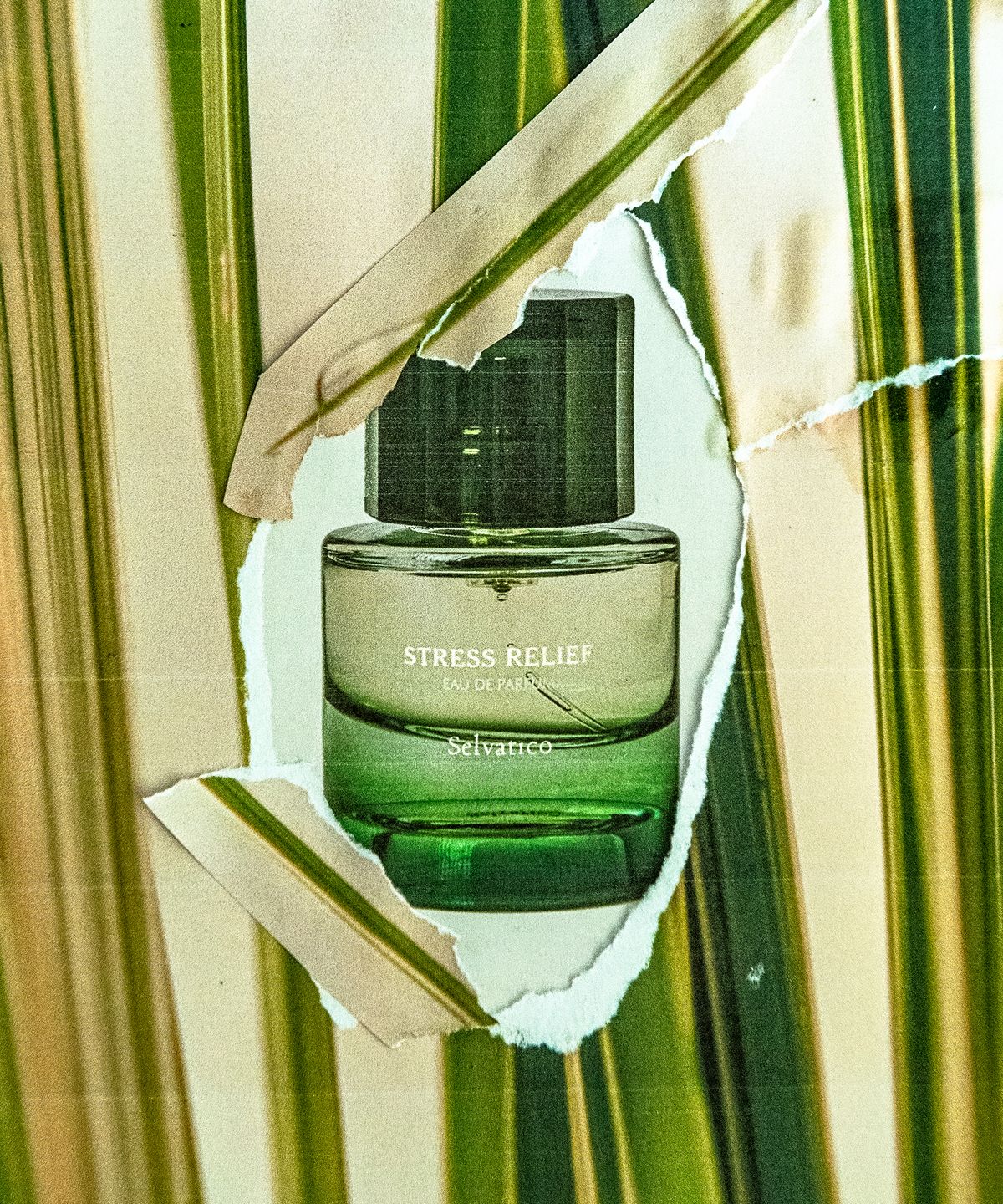 셀바티코(SELVATICO) 스트레스 릴리프 오 드 퍼퓸 30ml