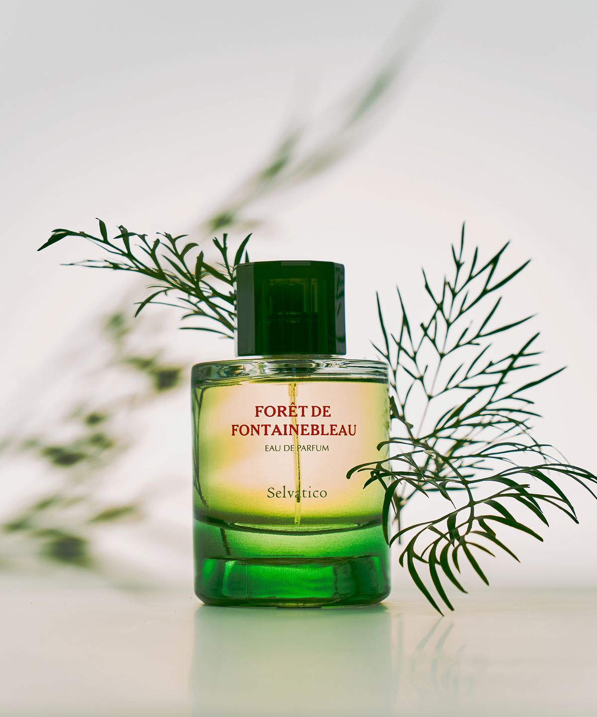 셀바티코(SELVATICO) 포레 드 퐁텐블로 오 드 퍼퓸 100ml